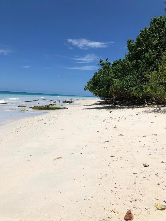 Tilar Siro Andamans - A Cgh Earth Experience Hotell Govind Nagar Eksteriør bilde